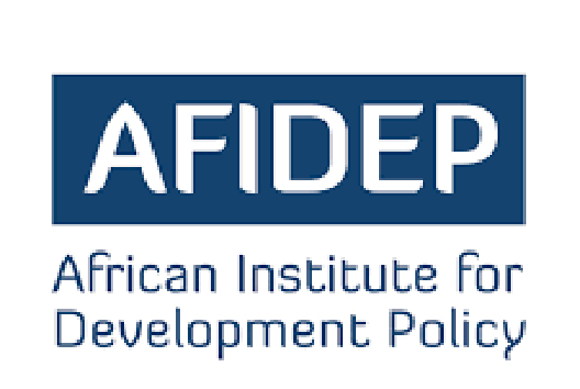 African Institute for Policy Development(1)